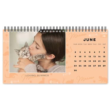 Must Love Cats Desk Calendar