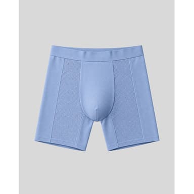 SilkCut Mesh Modal Boxer Brief