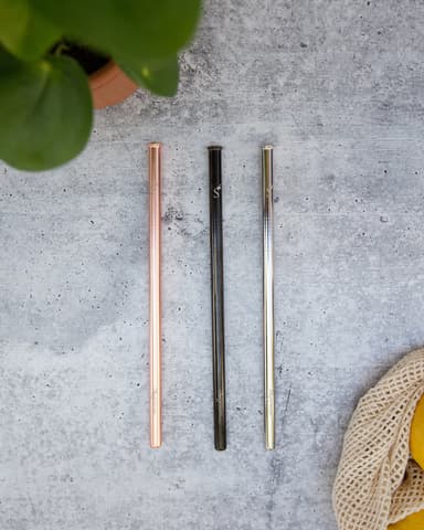 Reusable Stainless Steel Straw – Single