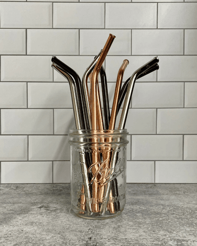 Stainless Steel Straw Party Pack – 10 Straws for $20