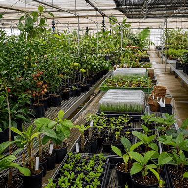 Nursery & Propagation Strategy Session