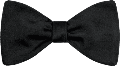 Bow Tie