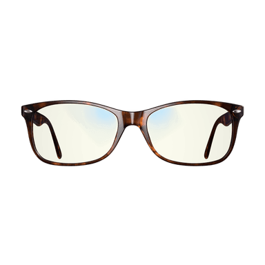 Focus Swannies Readers Classic Tortoise