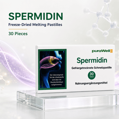 Spermidine  Cellular Renewal from Within