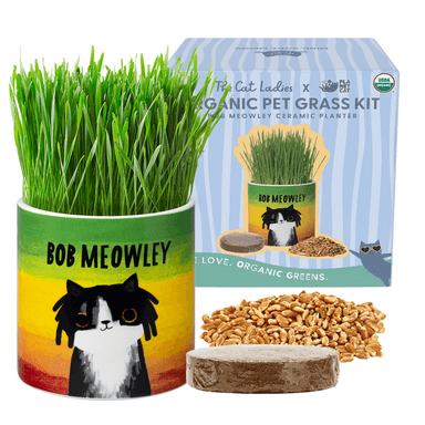 Planet Cat Bob Meowley Ceramic Cat Grass Kit