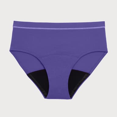 All-Day Brief