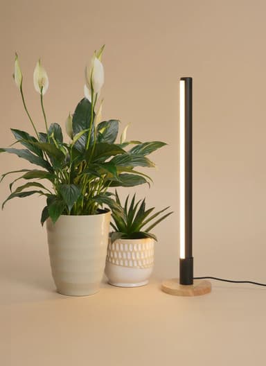 Grove Grow Light with Alta Vertical Stand Set