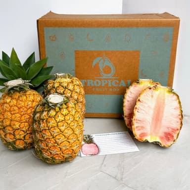 Pinkglow® Pineapple BOGO – 4 PinkGlow Pineapples Total ⭐