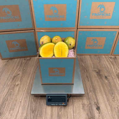 Kent Mangoes | Florida-Grown