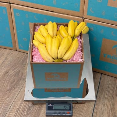 Manzano 3 lbs BOGO