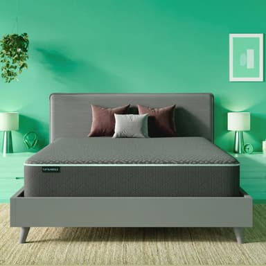 T&N Mint Hybrid Mattress II