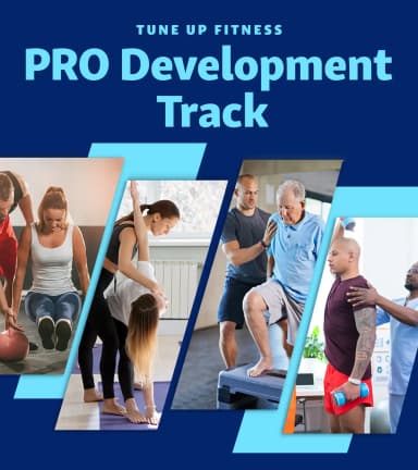 PRO Development Track