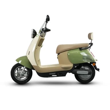 Custom Q7 800W Electric Scooter for Delivery & Logistics Operation