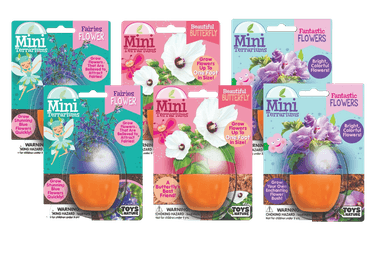 Flowering Mini Terrarium Bundle - 2 Each of 3 Varieties