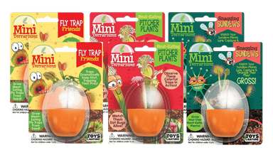 Carnivorous Mini Terrarium Bundle - 2 Each of 3 Varieties