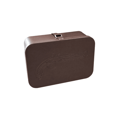Pistol storage and carry on travel case with lock by GOOROO