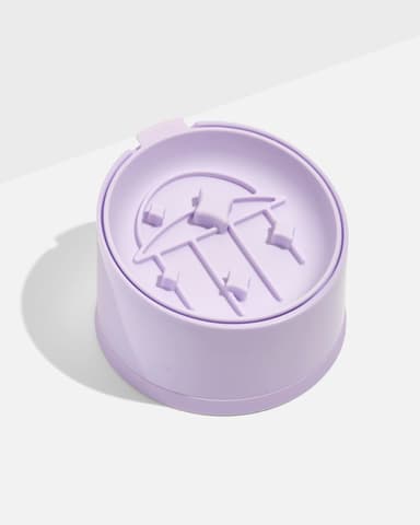 Cat Slow Feeder