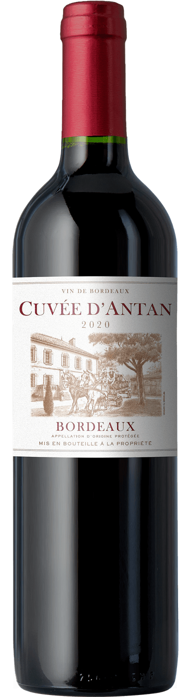 2020 Cuvée d'Antan Bordeaux Rouge