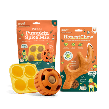 Pumpkin Spice Play Pack