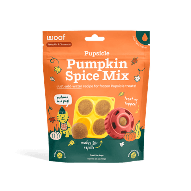 Pumpkin Spice Pupsicle Mix