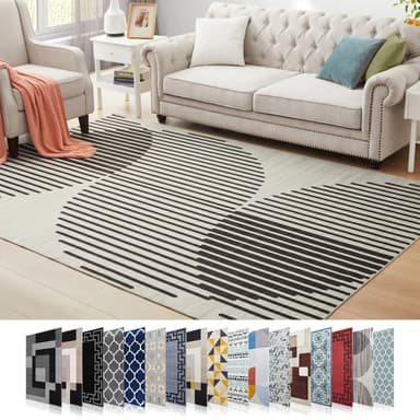Modern Rugs for Living Room