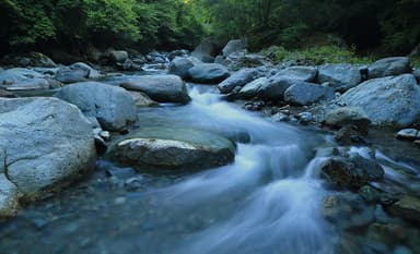 Inner Child Meditation