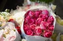 Best flowers for gifting: seasons, meanings and vase life