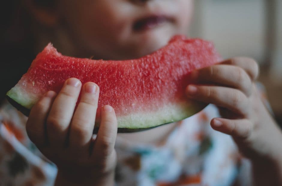 Best Snacks for Kids: Nutrition and Taste