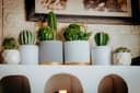 Budget-Friendly Home Decor: Transform Your Space in 2026