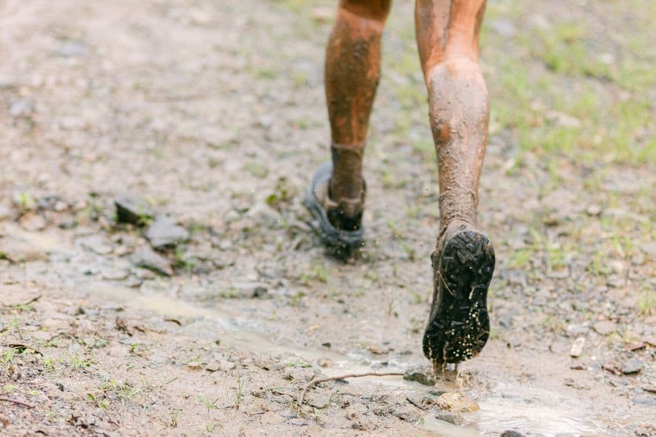 Tarkine Running Shoes: A Buyer's Guide