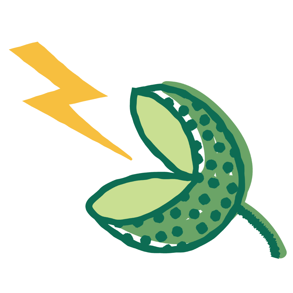 50Hertz Tingly Foods logo