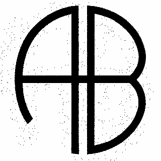 Anine Bing logo