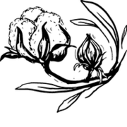 Antique Farm House logo