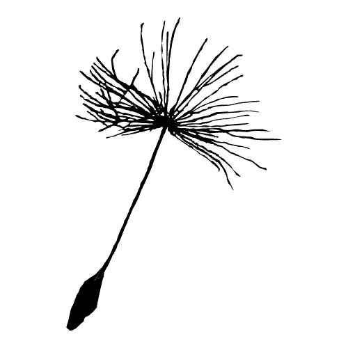 Asemente logo