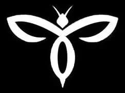 beecoolbikes.com logo
