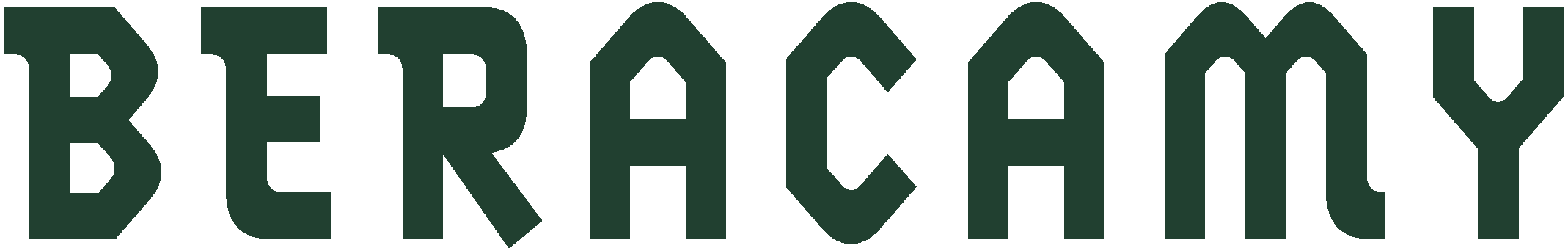 beracamy logo