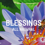 Blessingsallnaturaljamaica logo