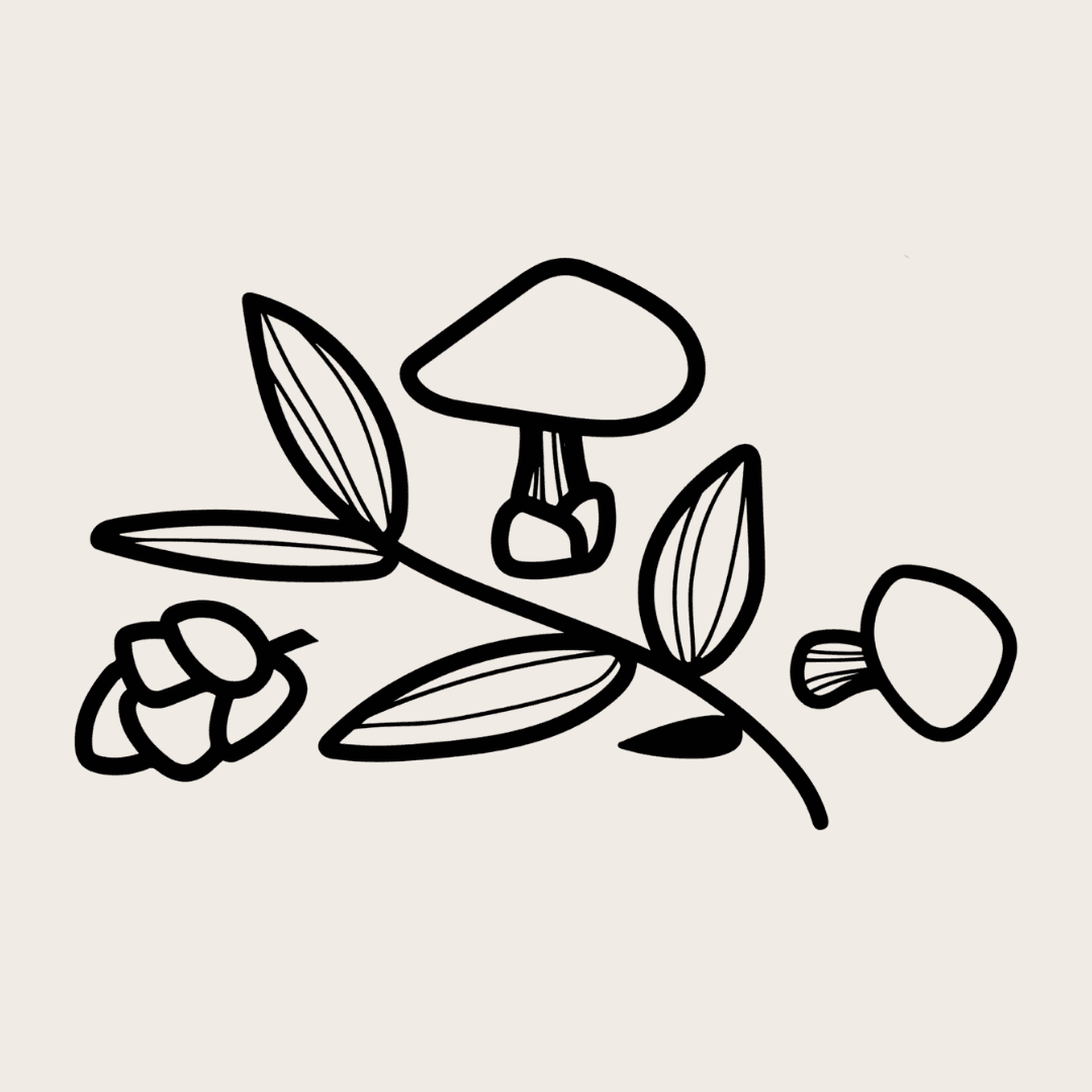 Bloomable logo