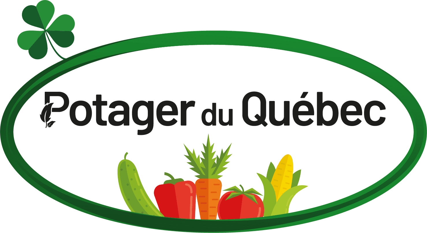 Boutique logo