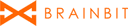 Brainbit logo