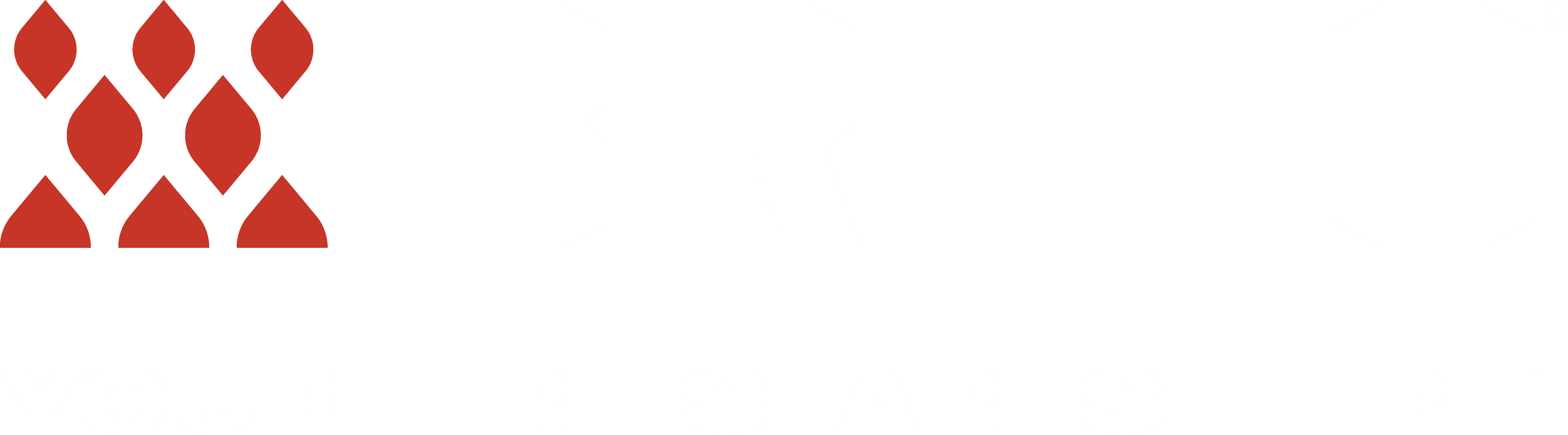 Breeo logo
