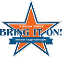 Bringitoncleaner logo