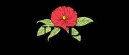 Burpee logo