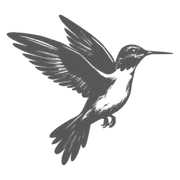 Carolehochman logo