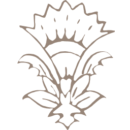 Cleobella logo