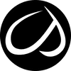 CRZ YOGA logo
