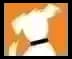 DOGTV logo