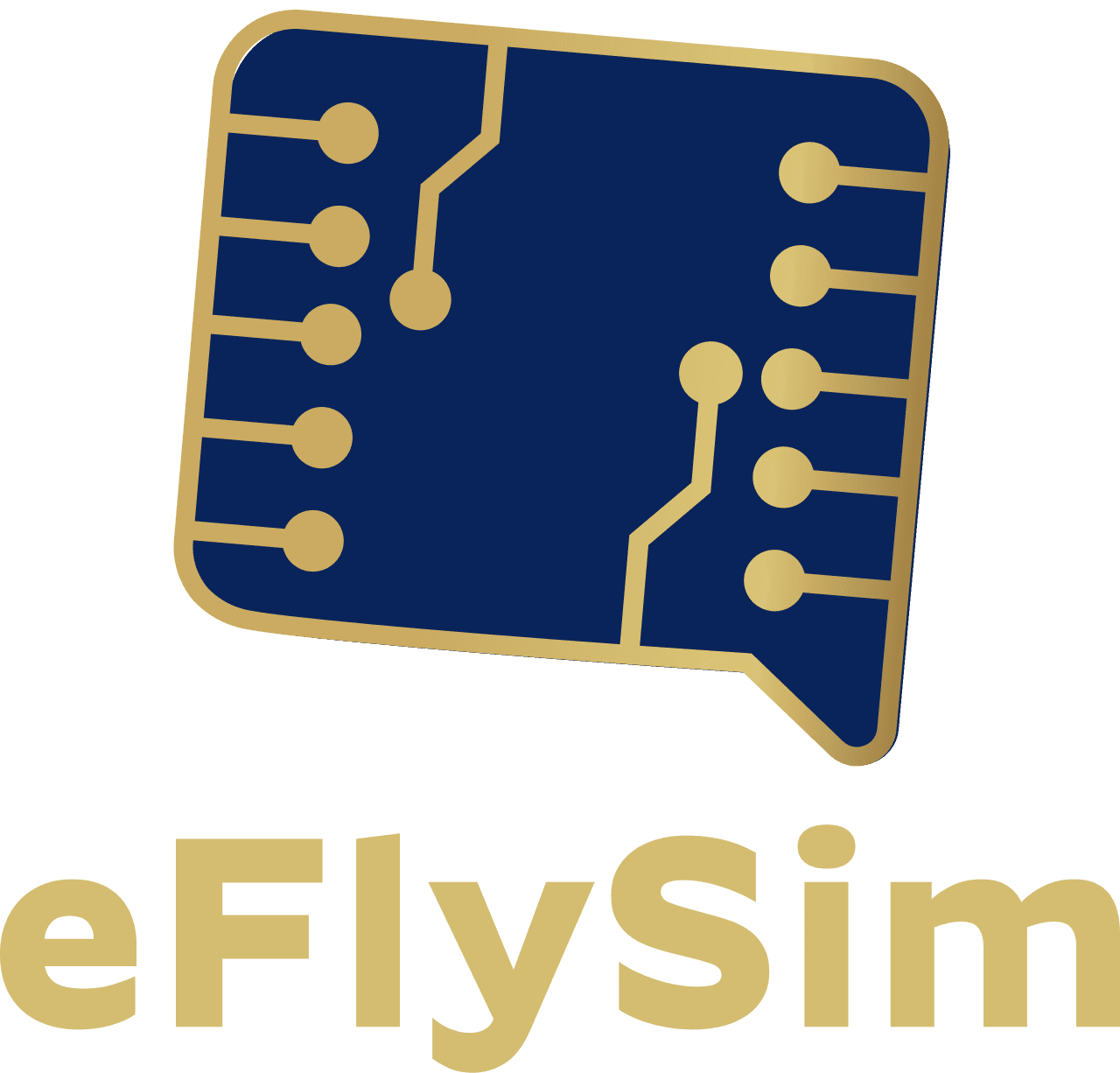 eFlySim logo