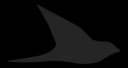 Ekster logo