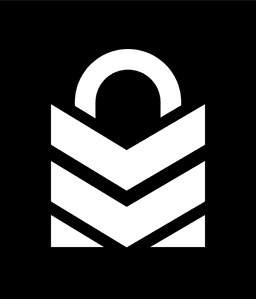 Gameonlock logo
